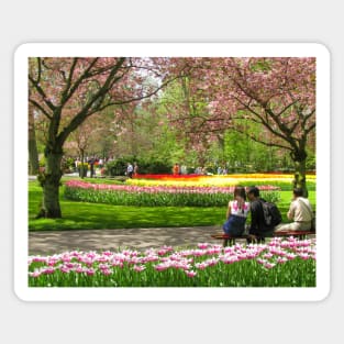 Keukenhof Tulip Festival, Holland Magnet